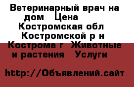Ветеринарный врач на дом › Цена ­ 800 - Костромская обл., Костромской р-н, Кострома г. Животные и растения » Услуги   